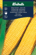 Sukkermajs 'Northern extra sweet'